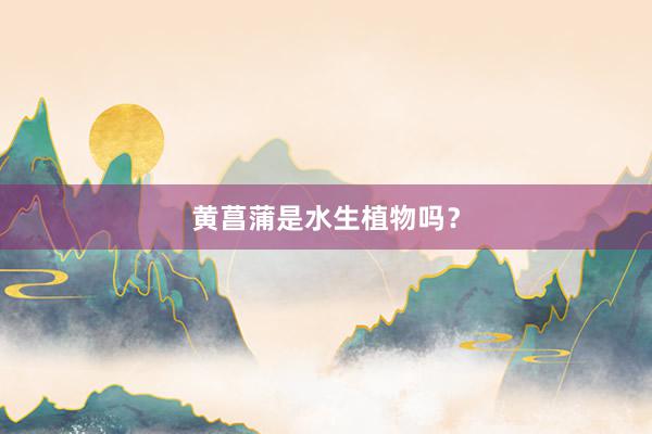黄菖蒲是水生植物吗？